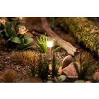 Faller - 1/87 LED PADVERLICHTING ZILVER WARM WIT 3 ST. (5/24) *