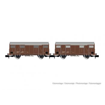 Arnold - FS 2-P PACK GS WAGONS BROWN IV (6/23) *