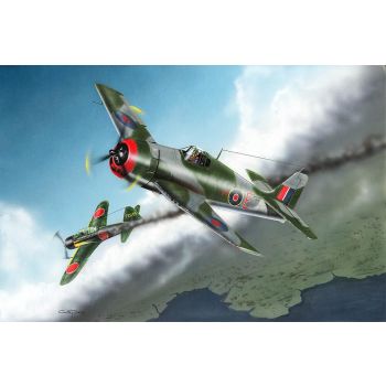 Hobbyboss - 1/48 British Fleet Air Arm Hellcat Mk.i - Hbs80360