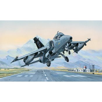 Hobbyboss - 1/48 A-11a Ghibli Amx Ground Attack Aircraft - Hbs81741