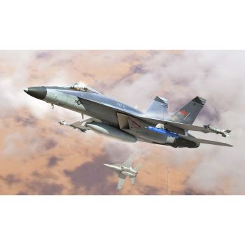 Hobby Boss - 1/48 F/A-18E SUPER HORNET VFC-12 (1/25) *