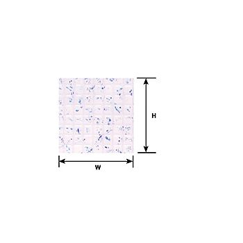 Plastruct - SHEET SQUARE TILE COPOLY CL. 3/16 300x175MM 2X PSC-42