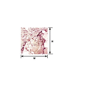 Plastruct - 1/12 SHEET MARBLE DH. ROUGH PAPER 0.3x190x250MM 1X PSP-65