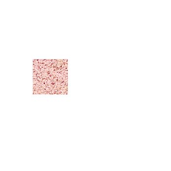 Plastruct - GROUND FOAM LIGHT PINK EXTRA FINE BLOSSOM 8 GR. GC-61