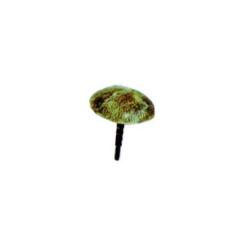 Plastruct - 1/48 BEACH UMBRELLA STY. 57.2x57.2MM 1 SET UMB-48