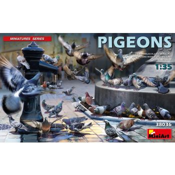 Miniart - 36 Pigeons 1:35 (1/20) * - MIN38036