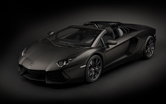 Pocher / HK121F Aventador Roadster Nero Nemesis kit  (Duplicated)